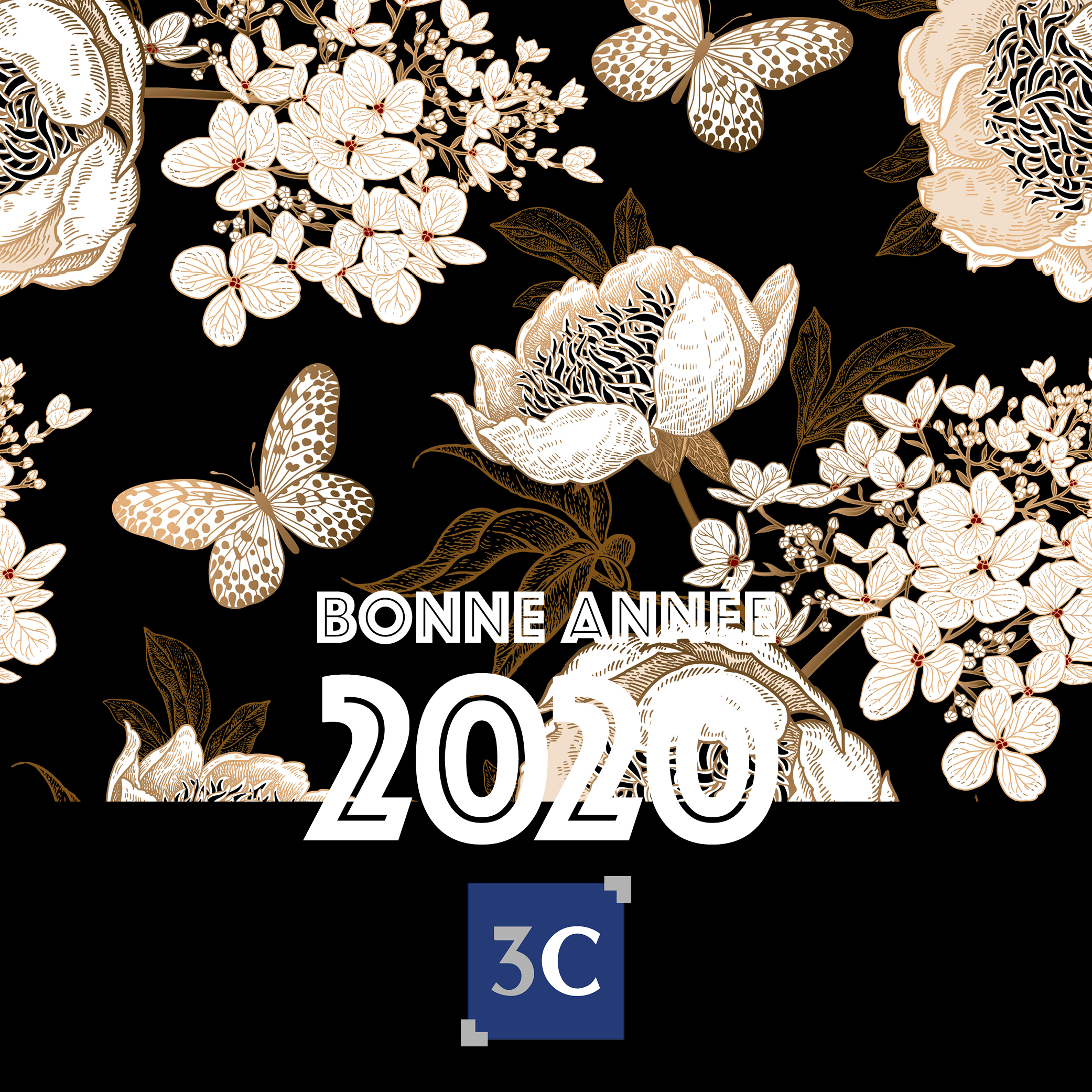 Image actu